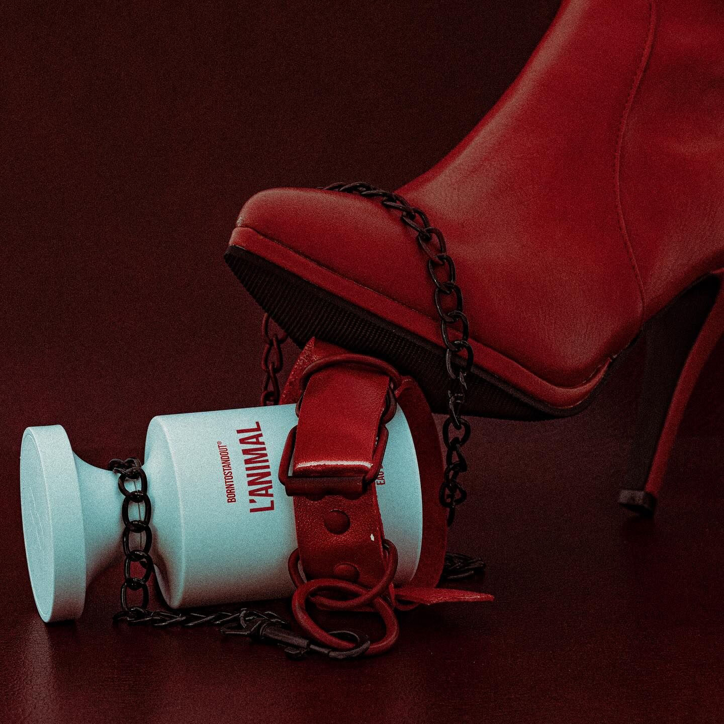 BORNTOSTANDOUT Filthy Musk L Animal Naked Laundry Новые ароматы