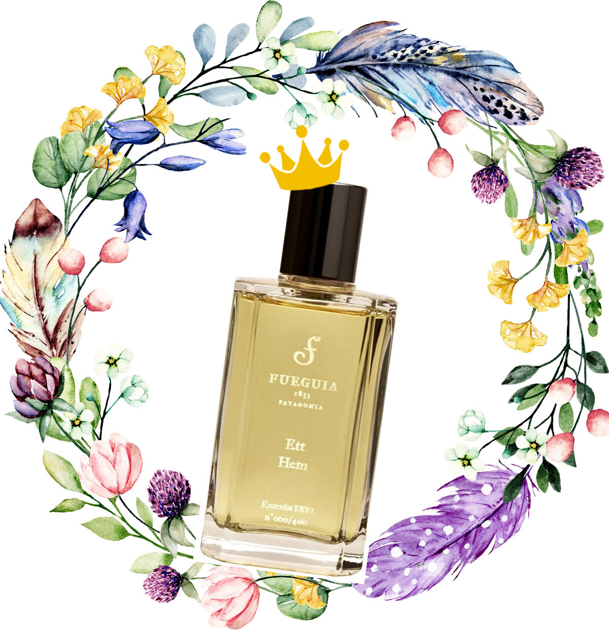 SUMMER 2024 PERFUME HIGHLIGHTS Marla Pollini Profumi Ett Hem Fueguia