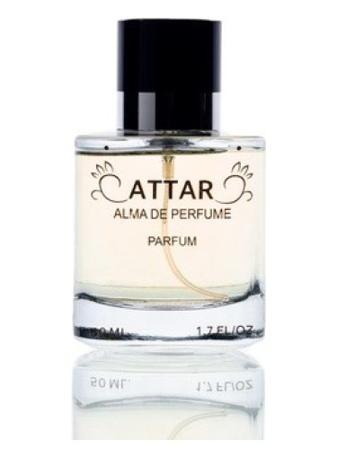 Norte ATTAR Alma De Perfume Parfum Un Nou Parfum Unisex 2022