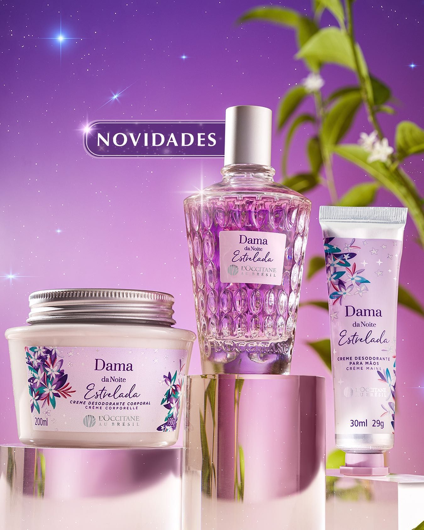 Dama da Noite Estrelada LOccitane Au Brésil perfume a novo