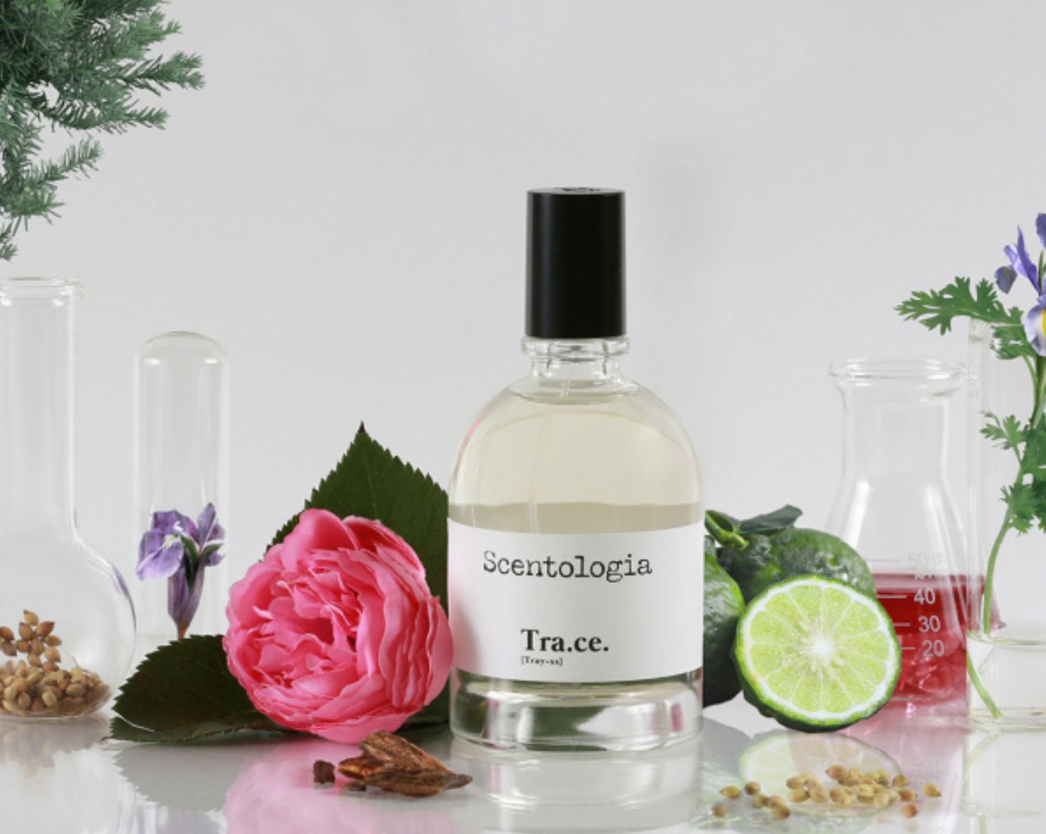 Tra Ce Scentologia Parfum Un Parfum Pour Homme Et Femme