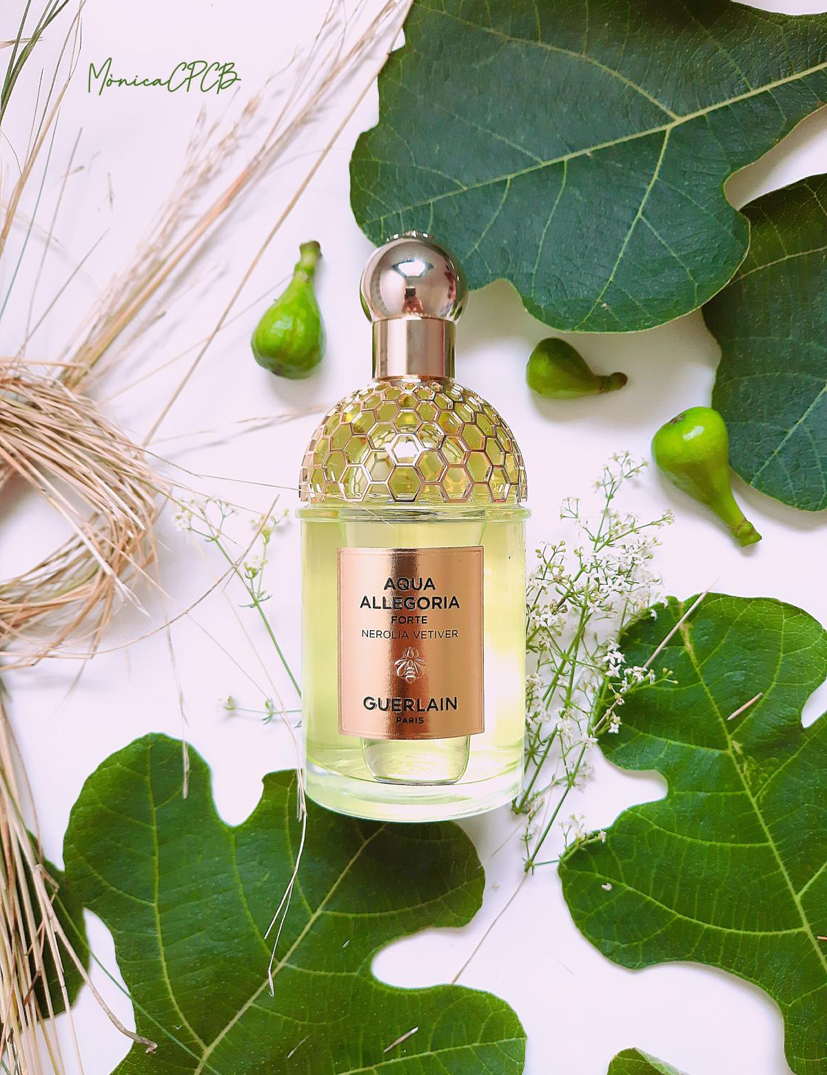 Aqua Allegoria Forte Nerolia Vetiver Guerlain Perfumy To Nowe Perfumy