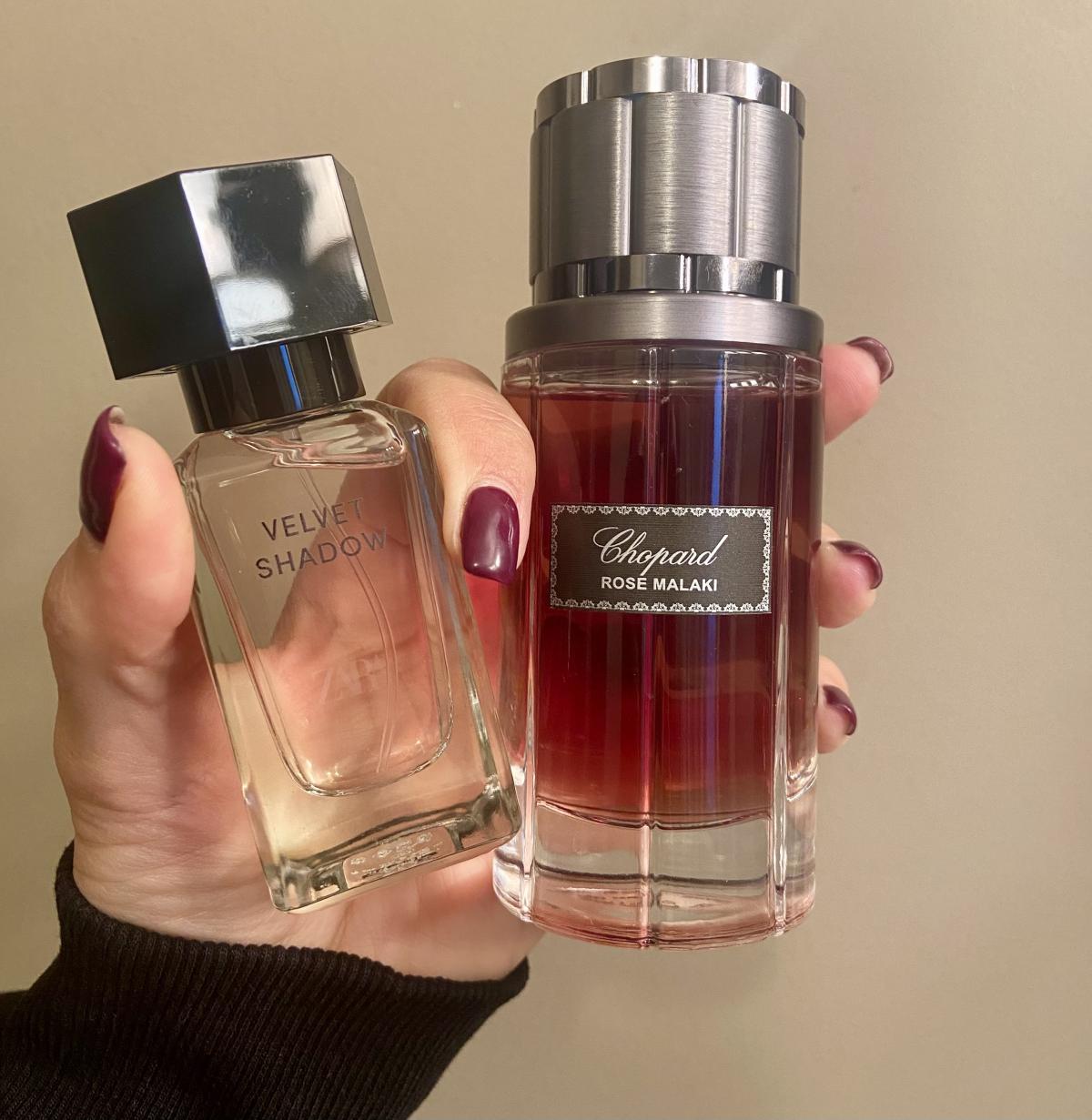 Velvet Shadow Into The Gourmand Zara Parfum Un Nouveau Parfum Pour