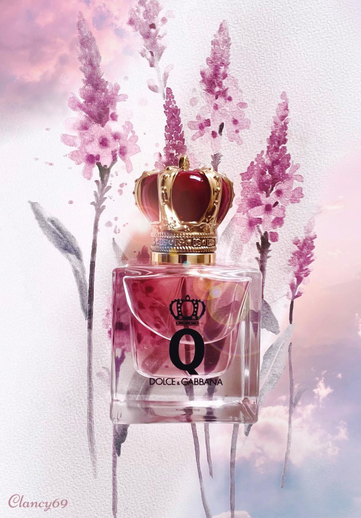 Q By Dolce Gabbana Dolce Gabbana Parfum Ein Neues Parfum F R Frauen