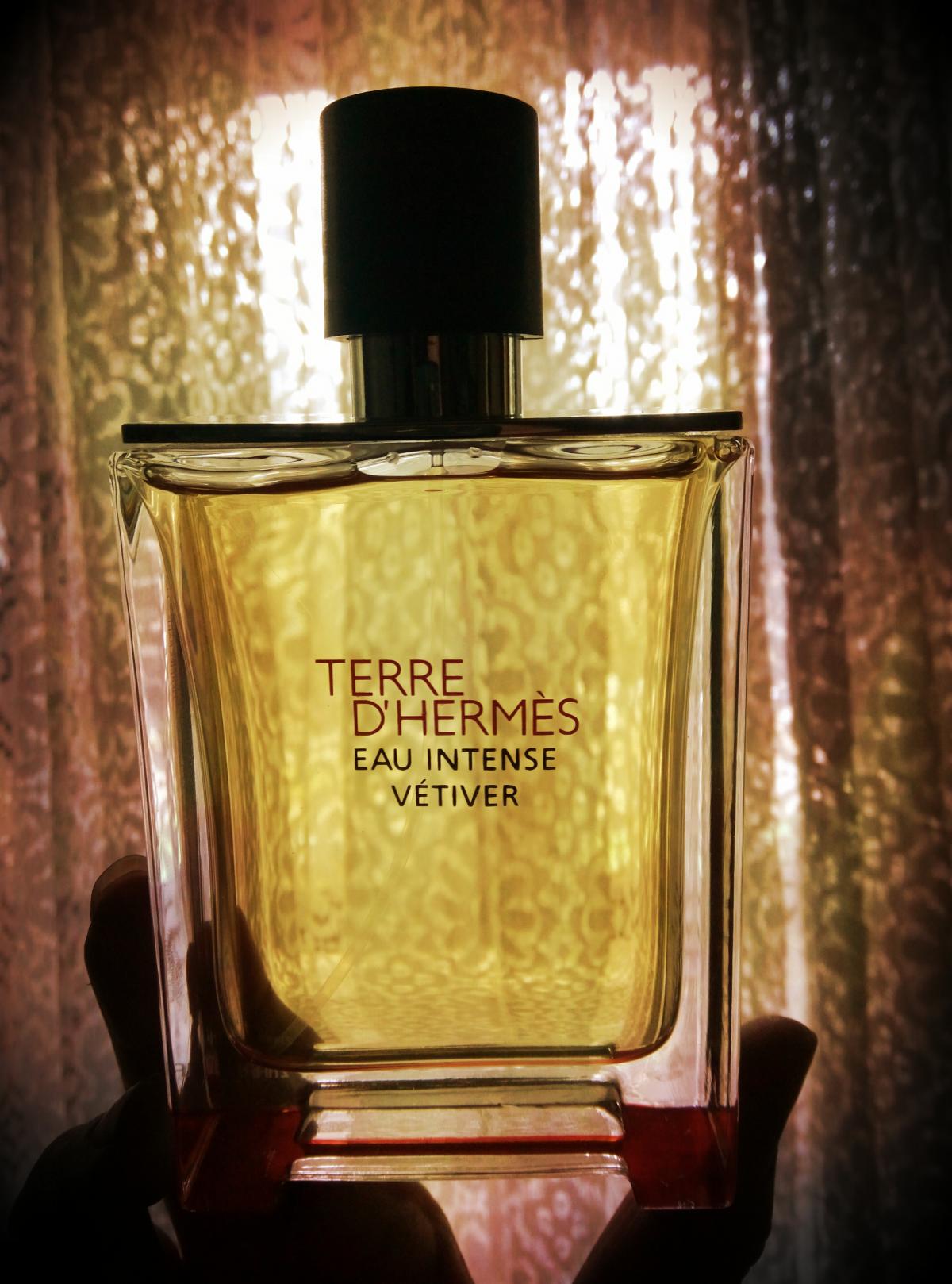 Terre D Hermes Eau Intense Vetiver Hermès Cologne ein es Parfum für