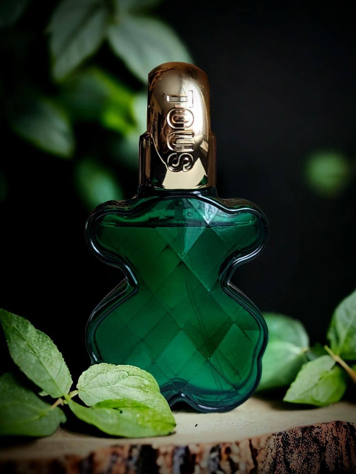 LoveMe The Emerald Elixir Tous аромат новый аромат для женщин 2023