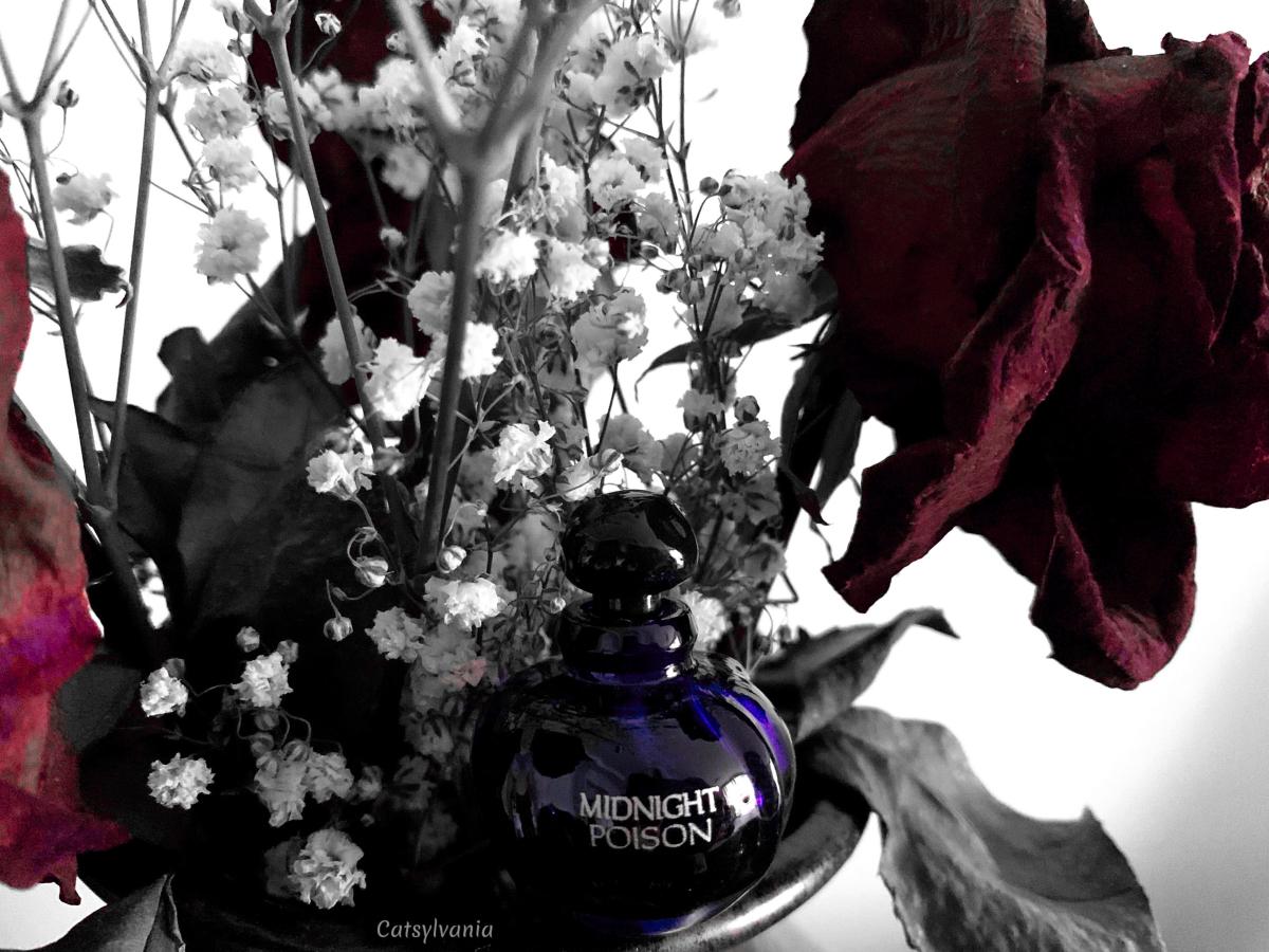 Midnight Poison Dior Fragancia Una Fragancia Para Mujeres