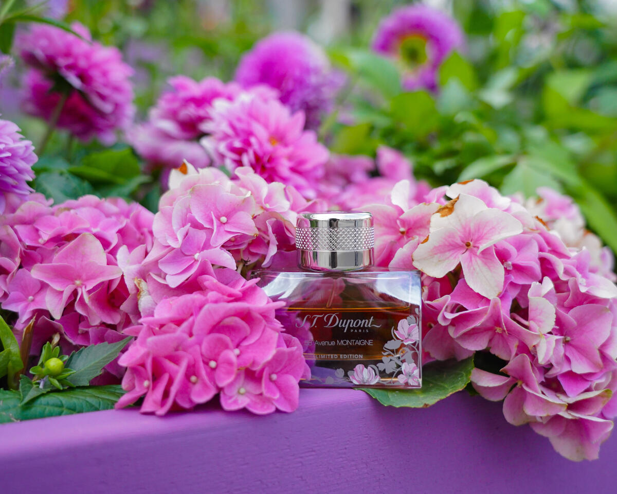 Avenue Montaigne Pour Femme Limited Edition S T Dupont Perfumy To