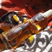 Youth Dew Amber Nude Est E Lauder Parfum Ein Es Parfum F R Frauen