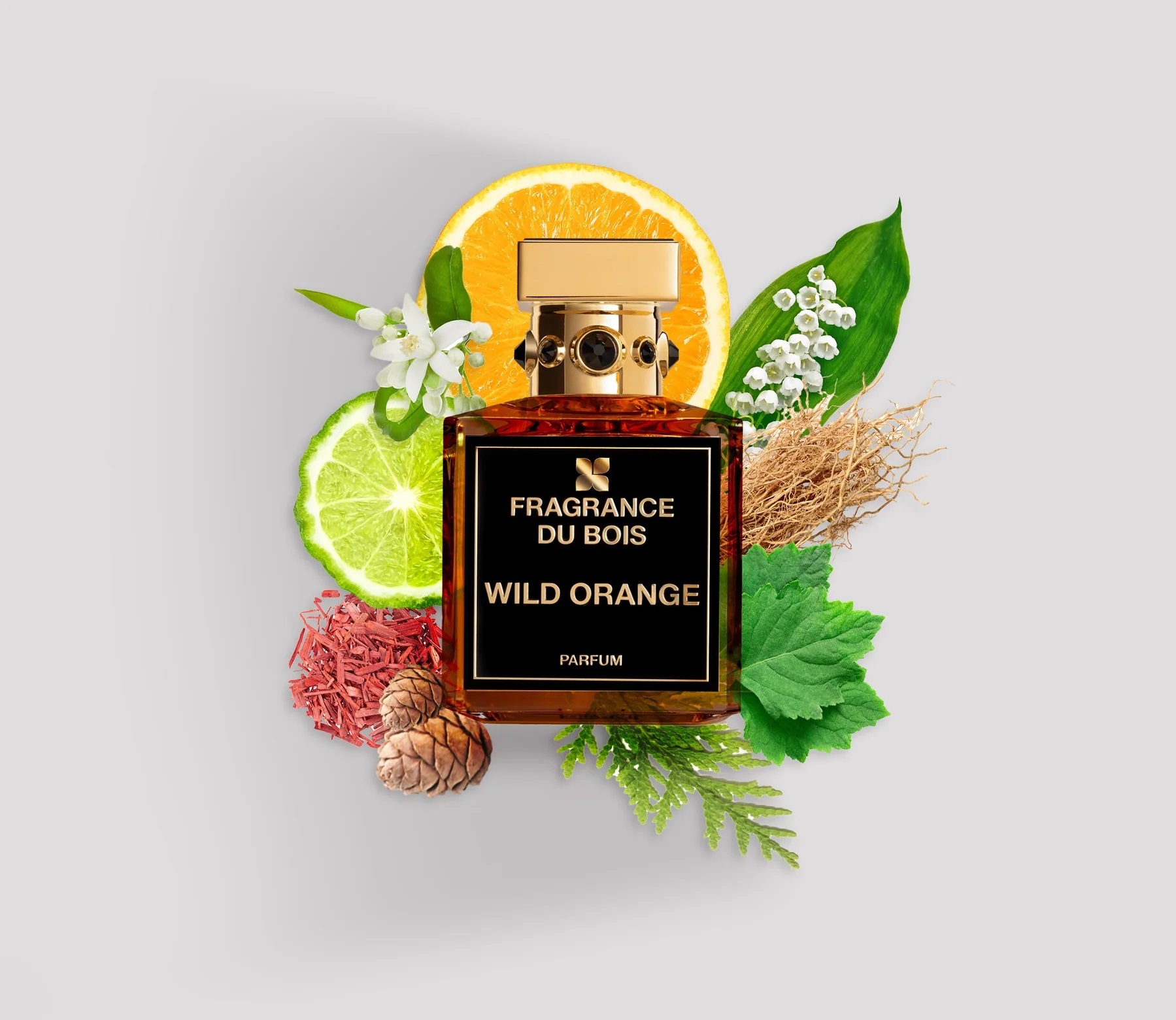 Wild Orange: Neue Fragrance Du Bois Perfume Review ~ Reviews