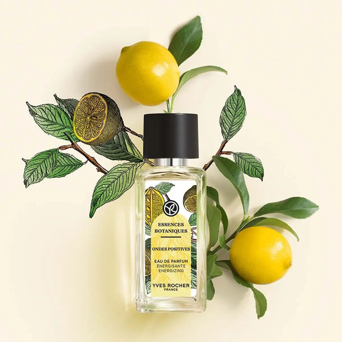 YVES ROCHER ESSENCES BOTANIQUES: ФУНКЦИОНАЛЬНАЯ ПАРФЮМЕРИЯ — РАБОТАЕТ ЛИ ОНА? И СТОИТ ЛИ ВНИМАНИЯ?