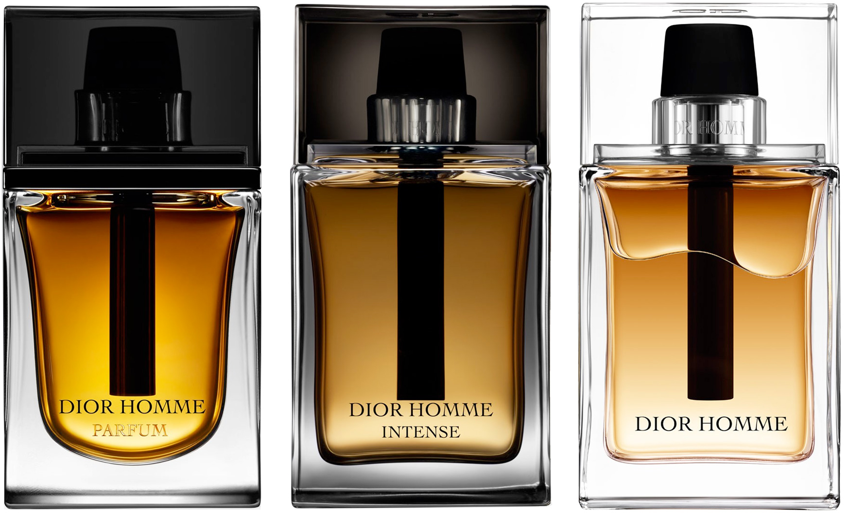 Onaangenaam Schep wandelen Christian Dior Homme (2020): Why Homme, Dior? ~ Fragrance Reviews