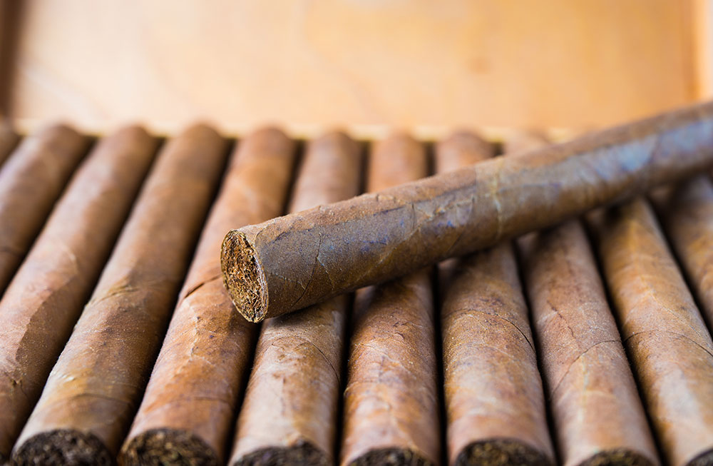 cuba cigars