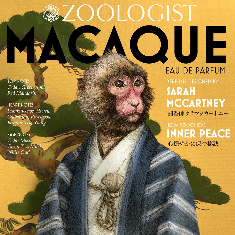 Zoologist Macaque