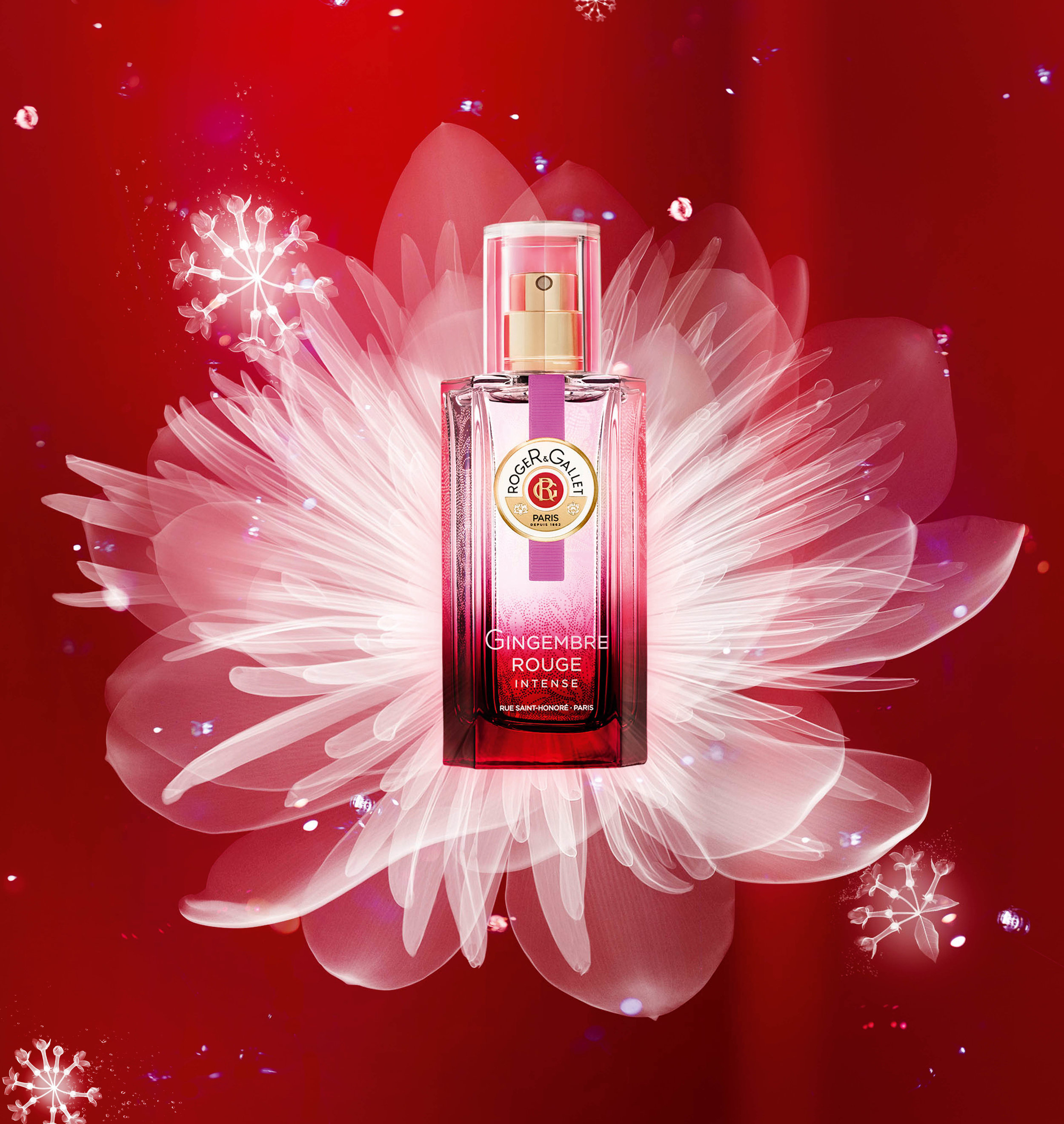 Gingembre Rouge Intense
