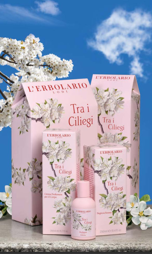 tra i ciliegi