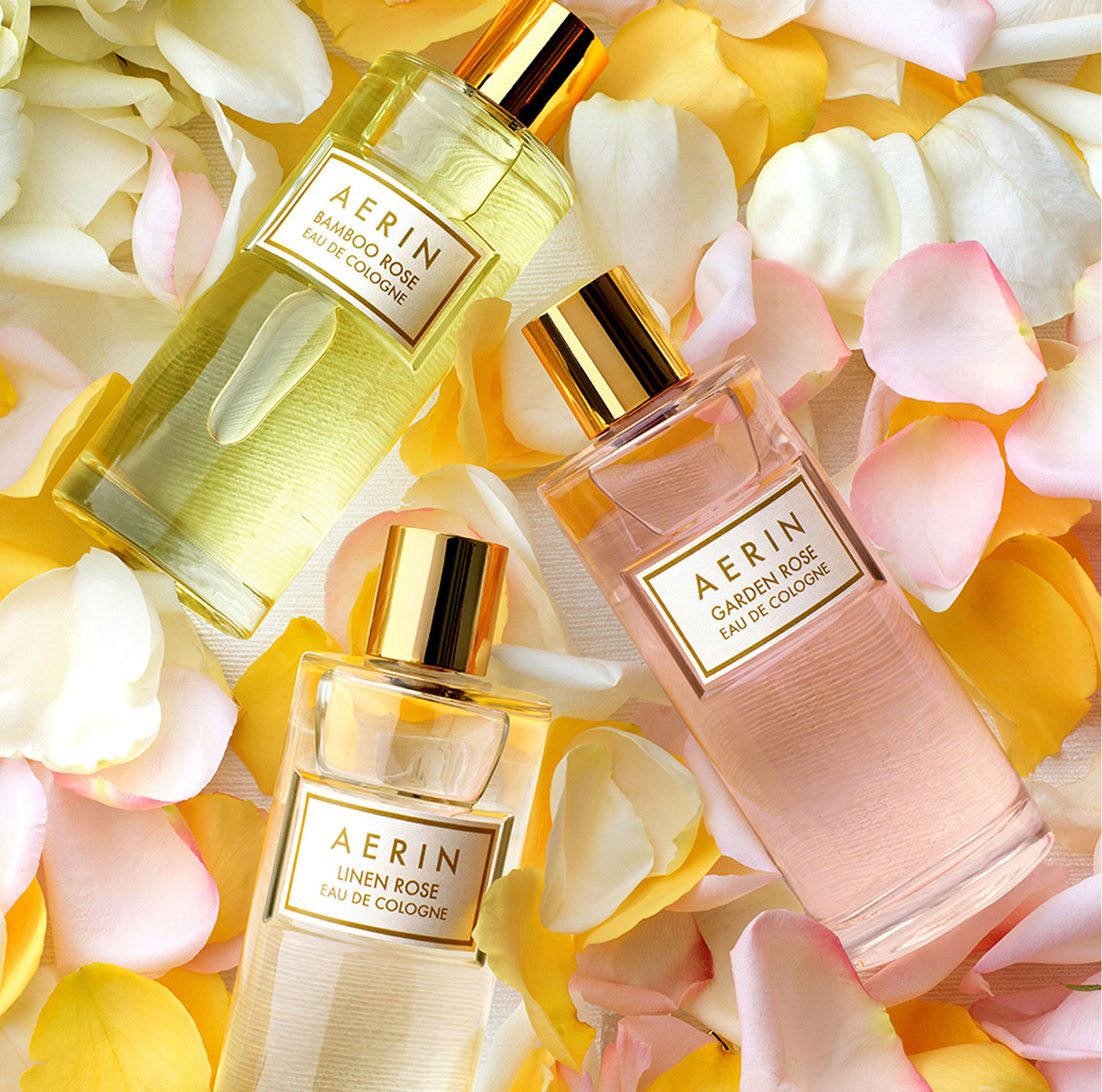 Aerin Lauder rose eaux de cologne