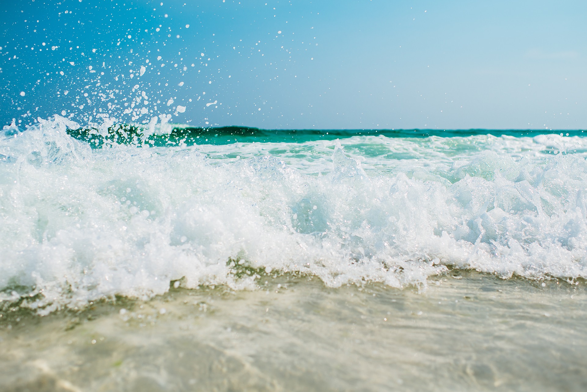 The ocean