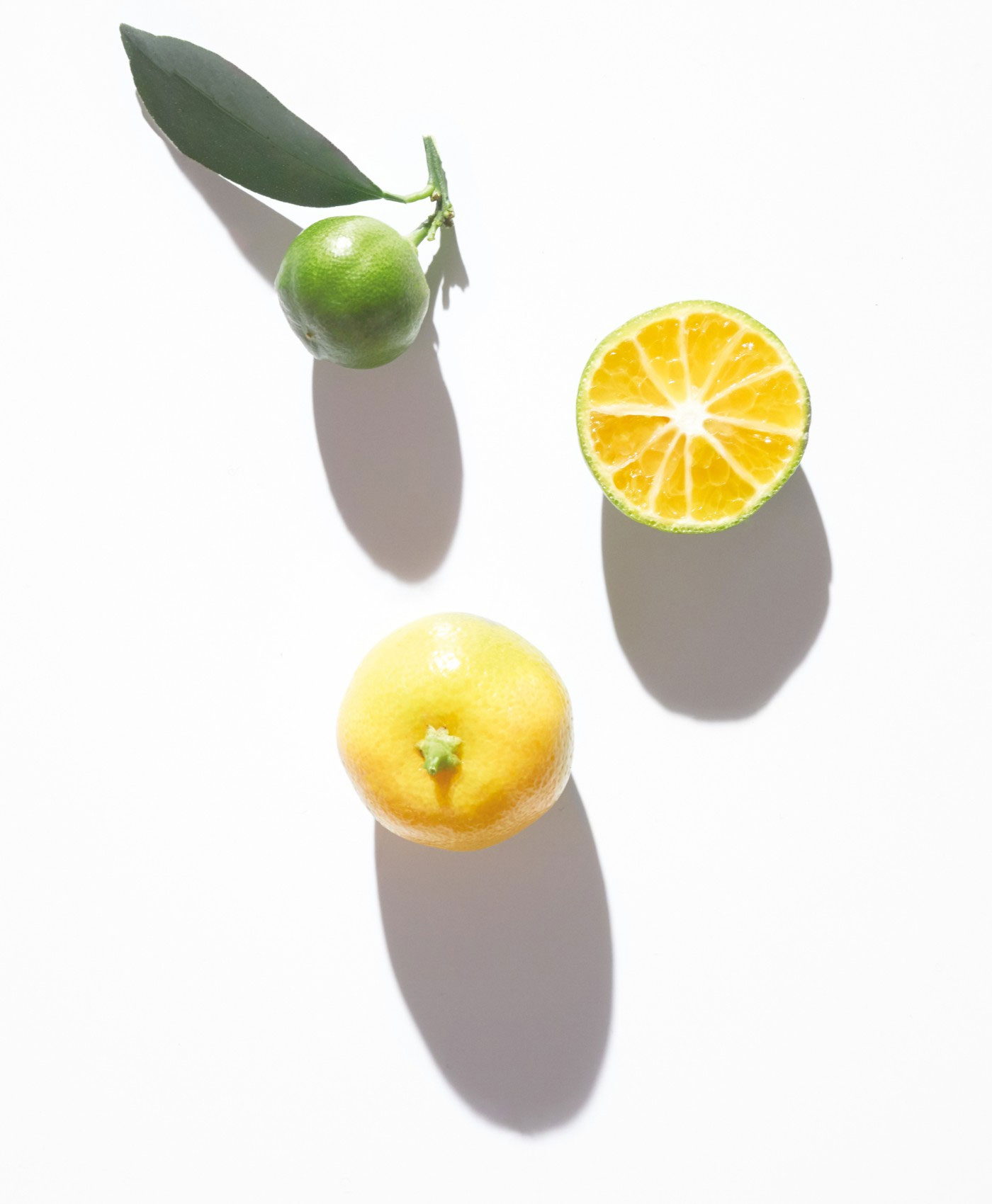 citruses