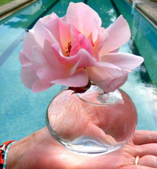 anima vinci perfumes