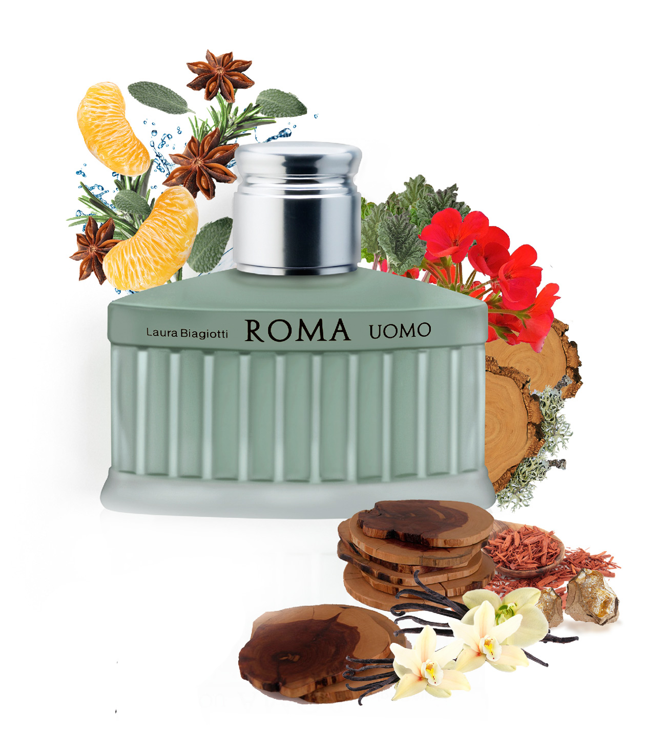 roma uomo cedro