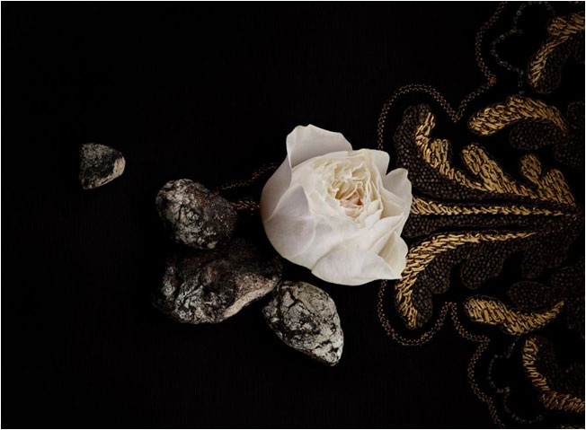 Exquisite Embroidery