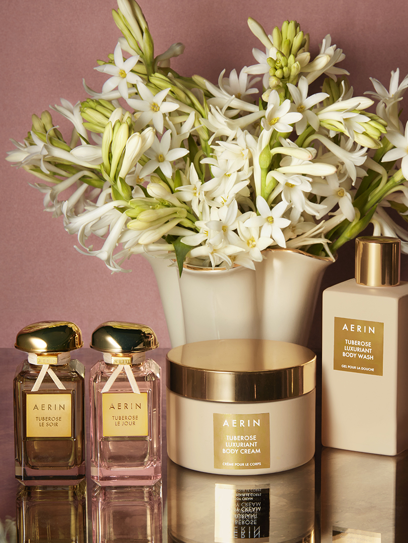 aerin tubereuse collection