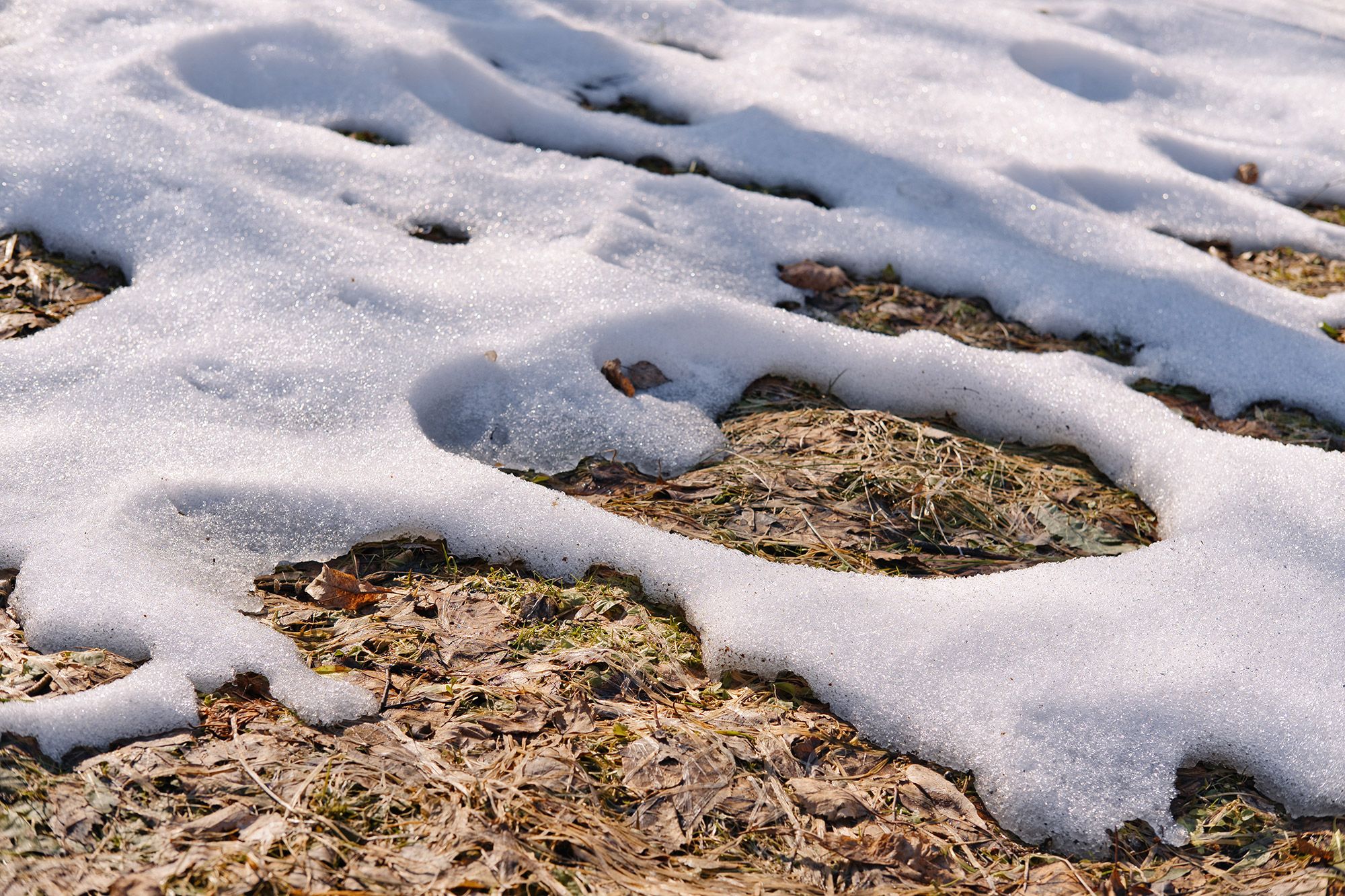 march snow