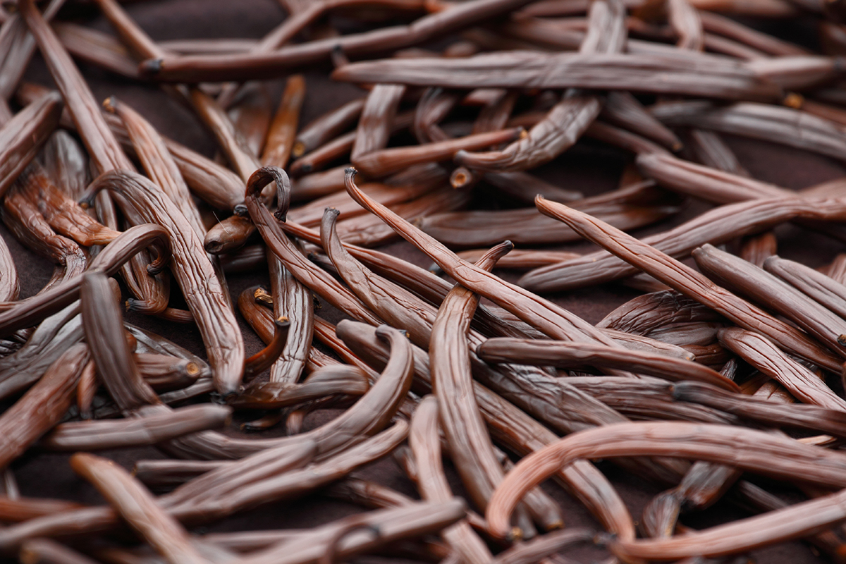 vanilla