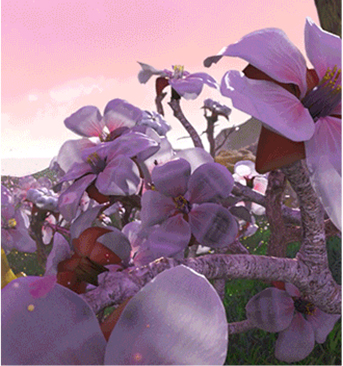 flowers