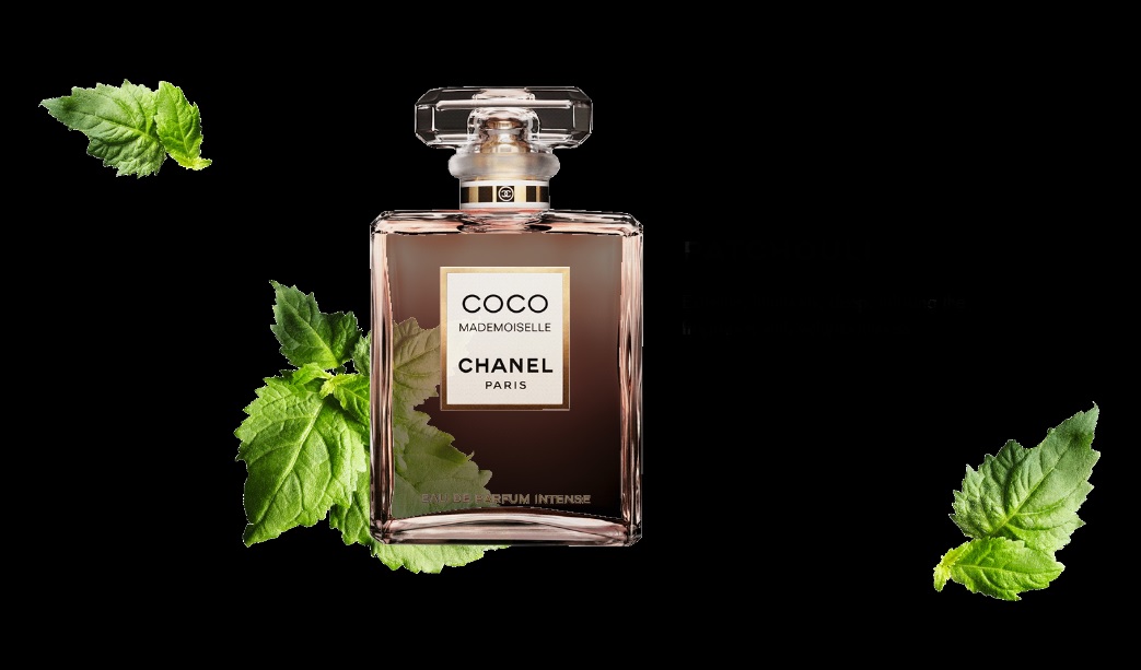 Chanel Coco Mademoiselle Intense patchouli