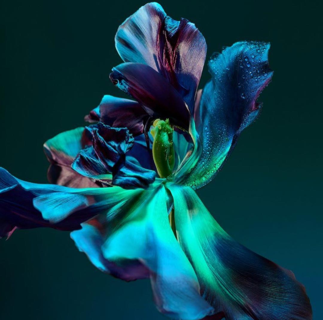 CHOPARD GARDENS OF PARADISE