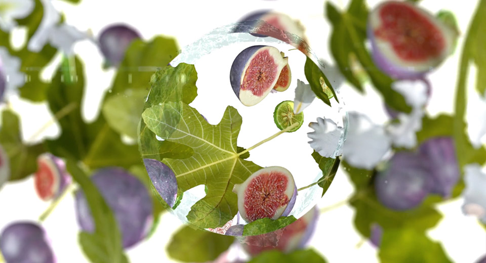 roger gallet fig leaves