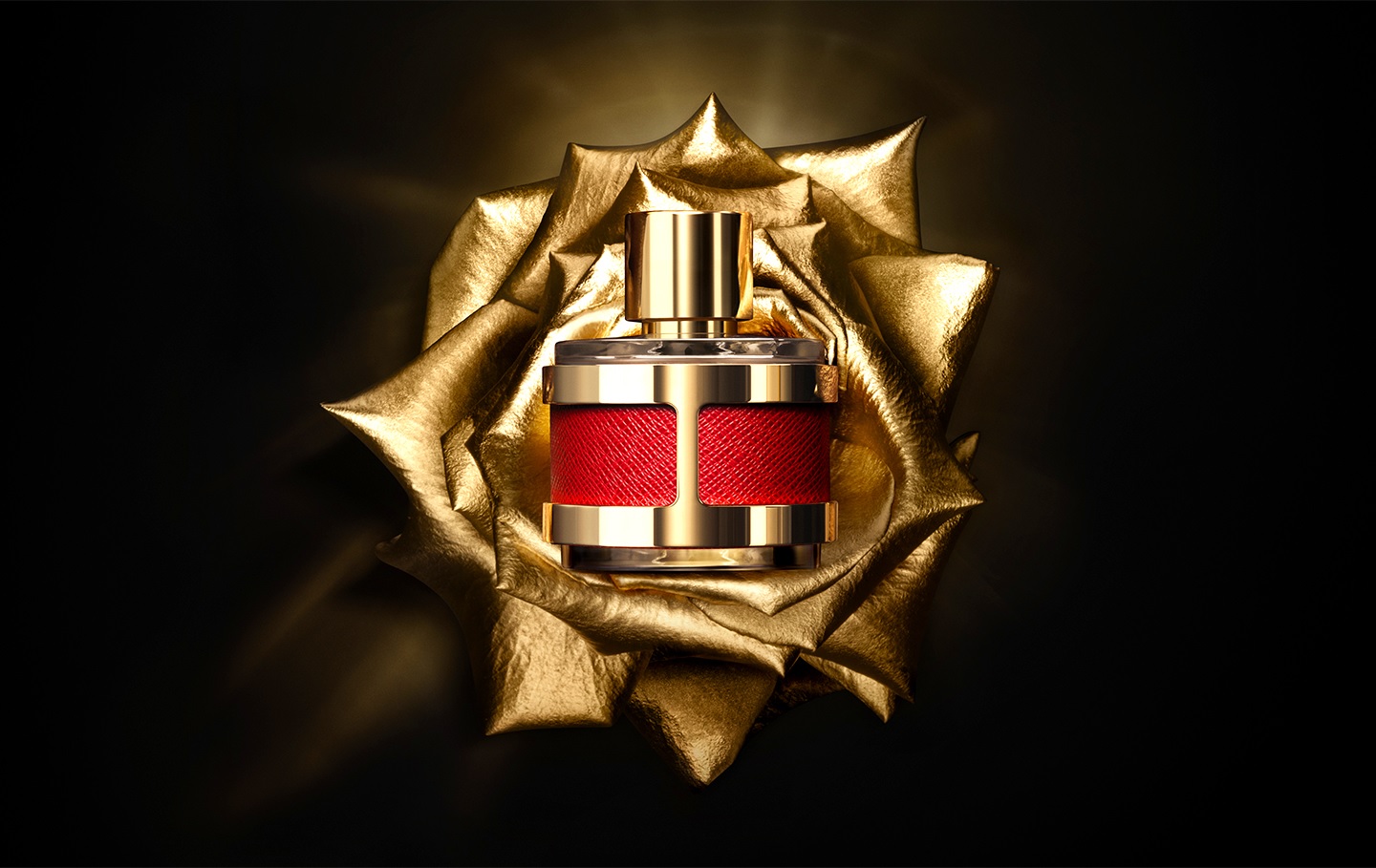 CH Insignia