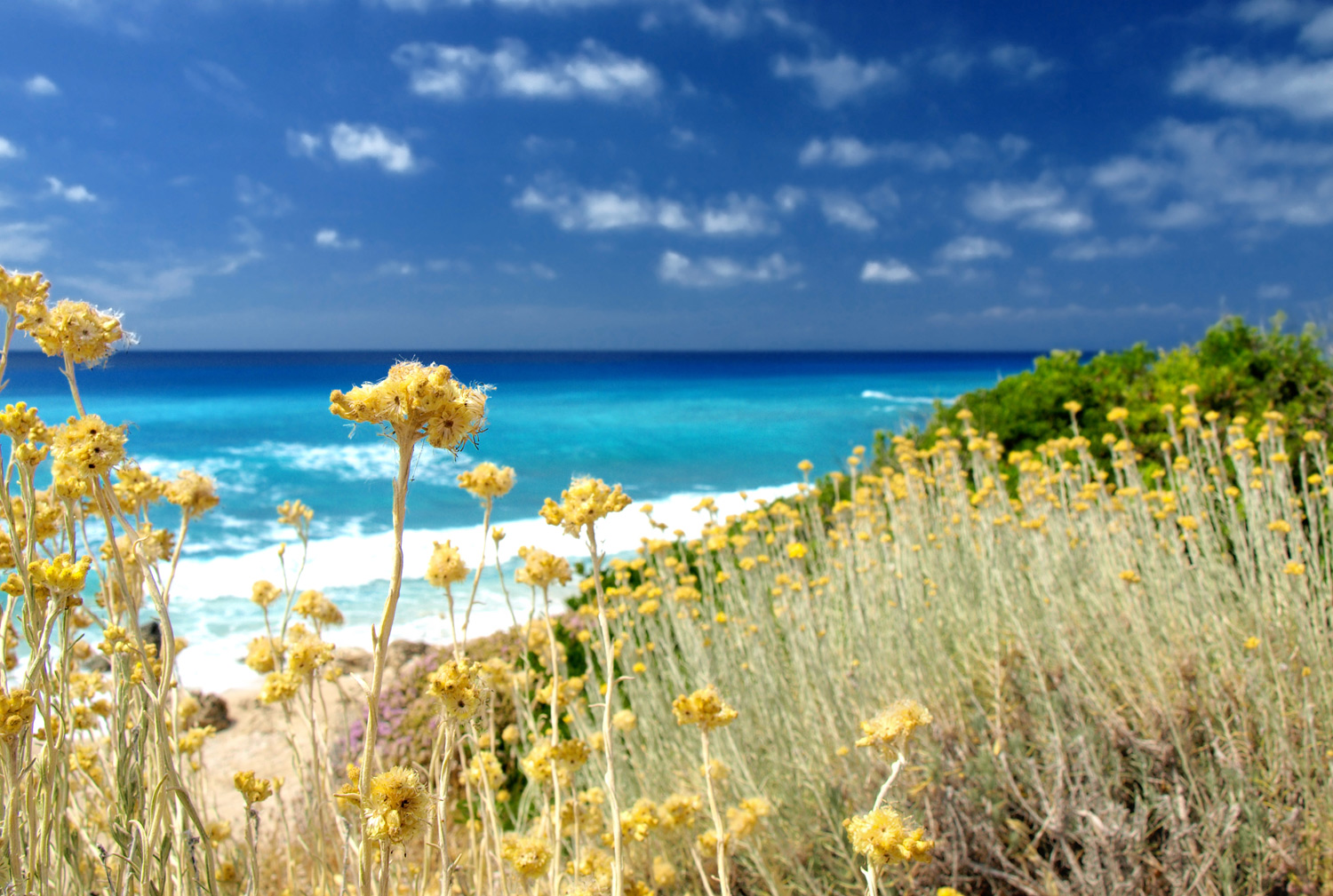 cote d azur