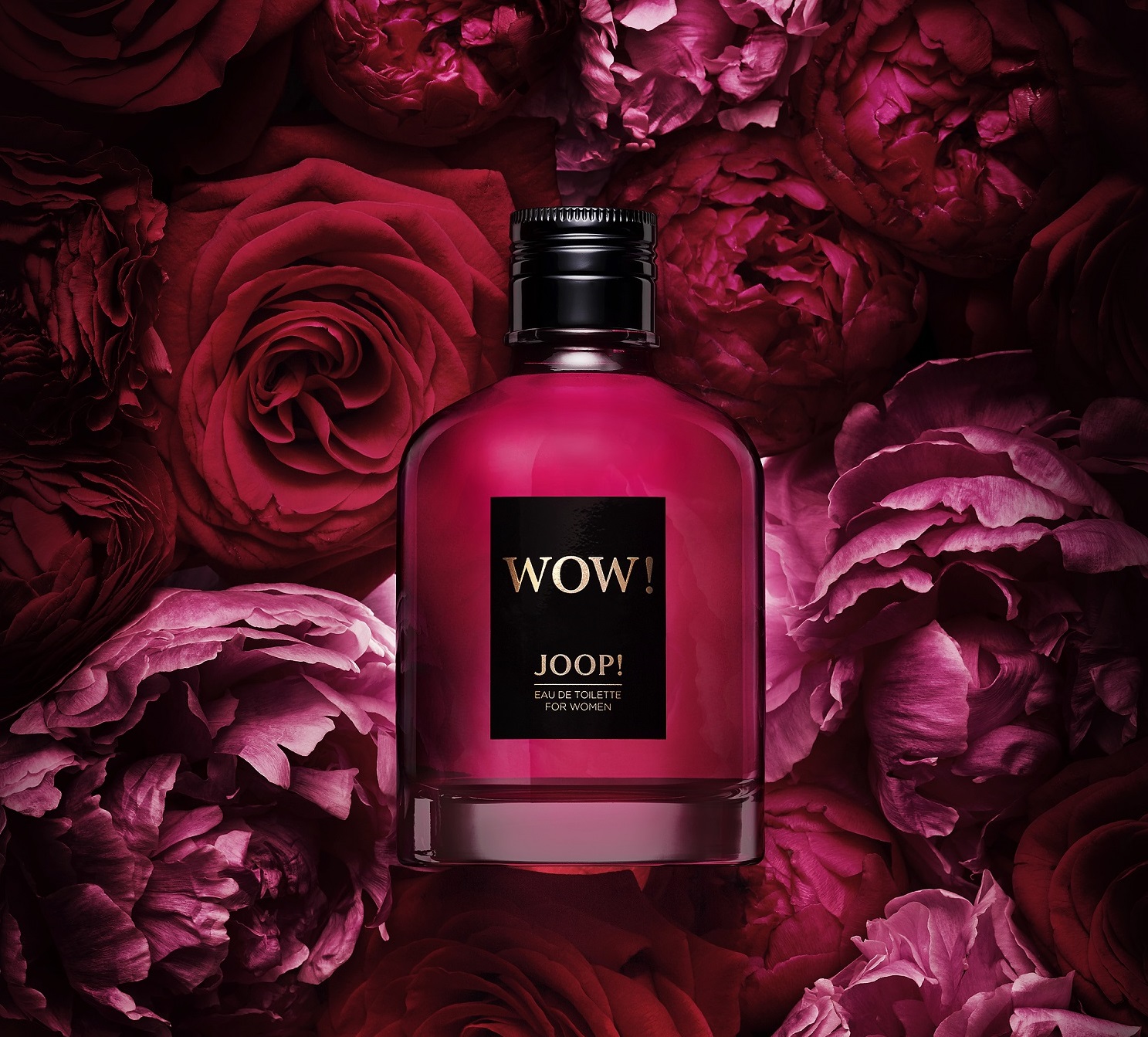 Joop! Wow! for Women