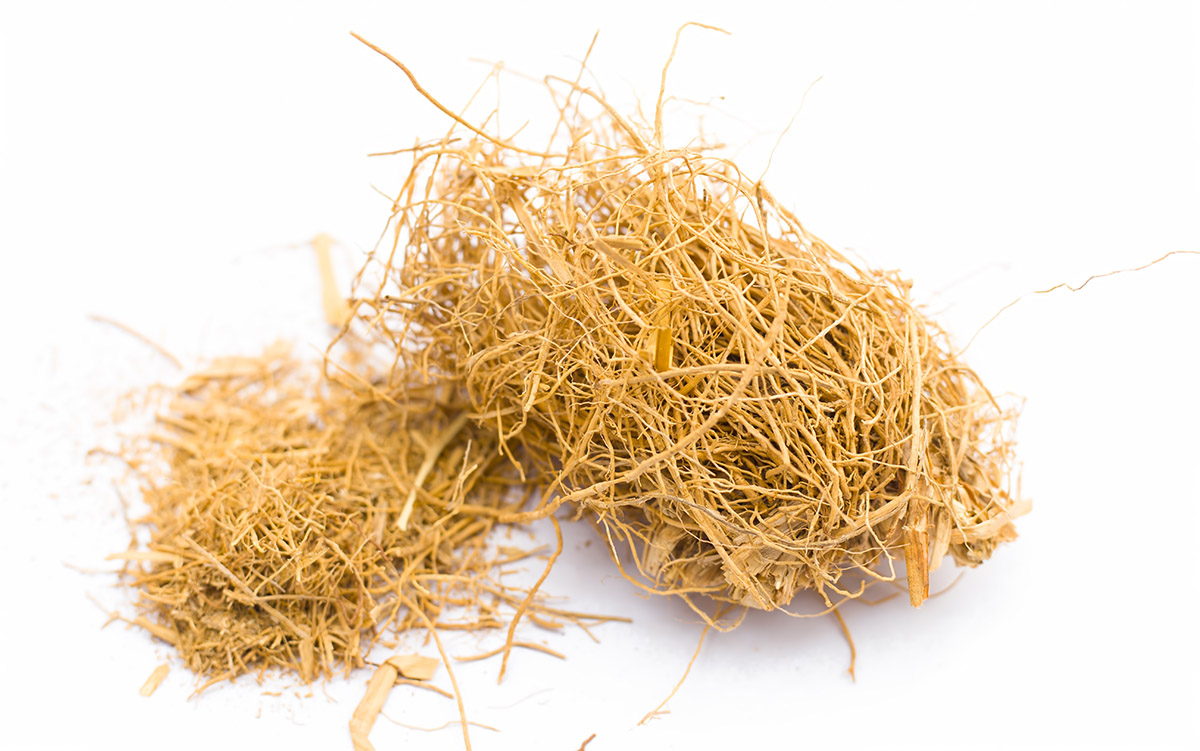 Vetiver roots, dried