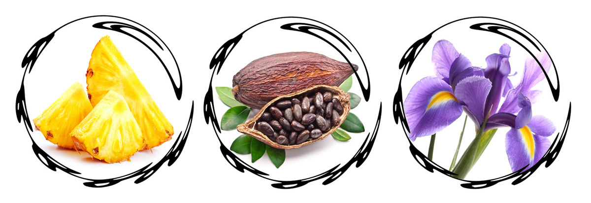 desigual fresh world