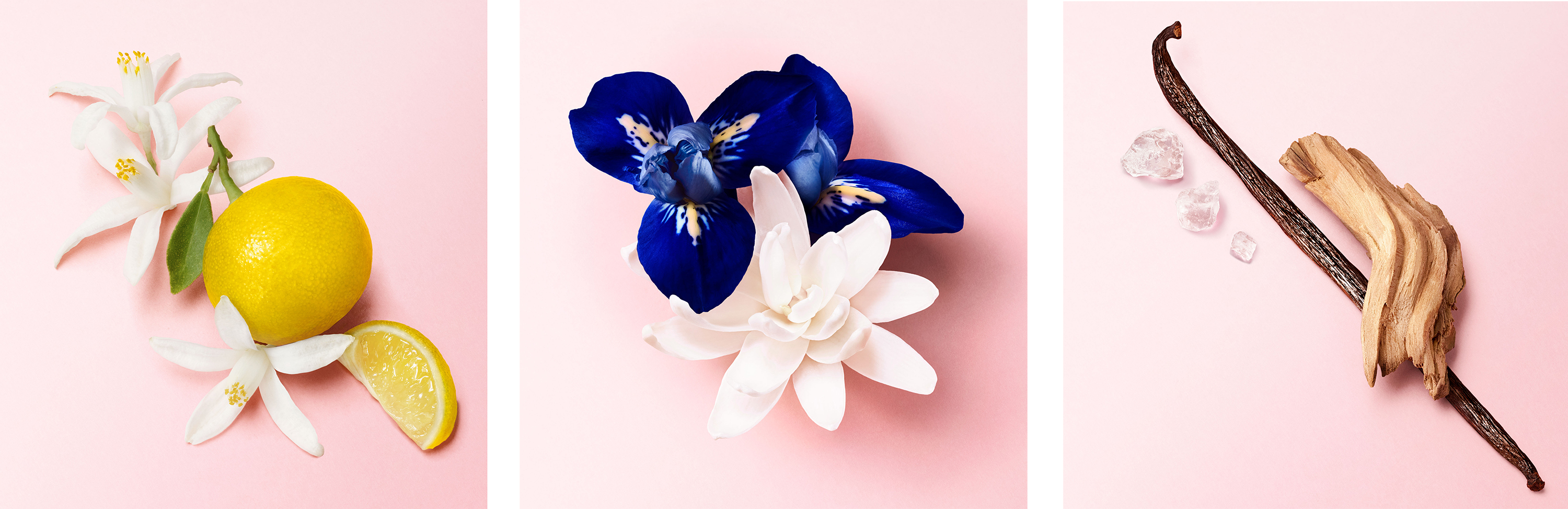 My Way Parfum: Elegante Süße ~ Reviews