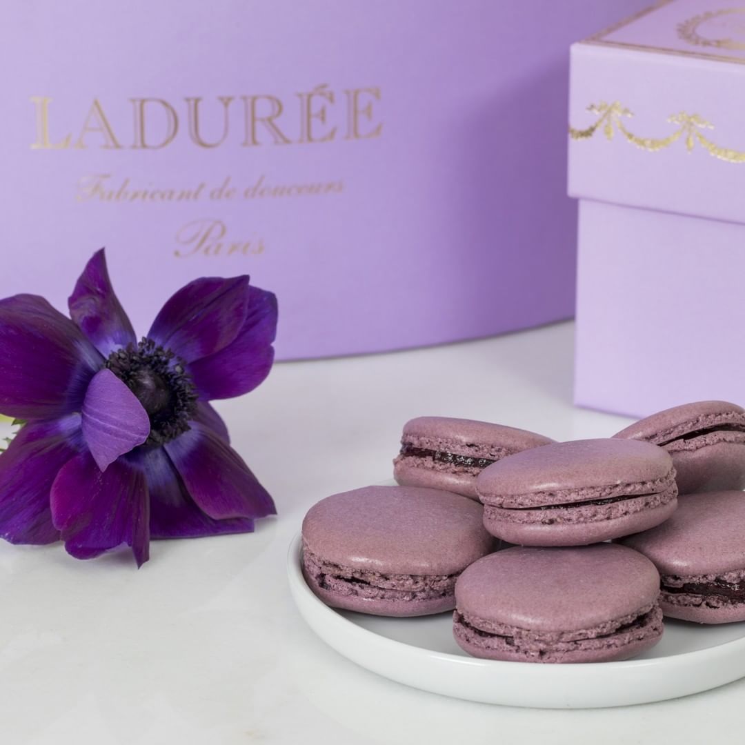 macarons laduree