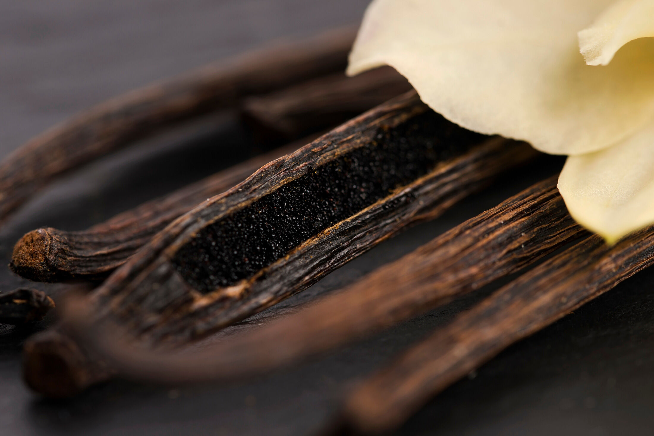 Matiere Premiere Vanilla Powder: спасательный круг в море гурманской ...