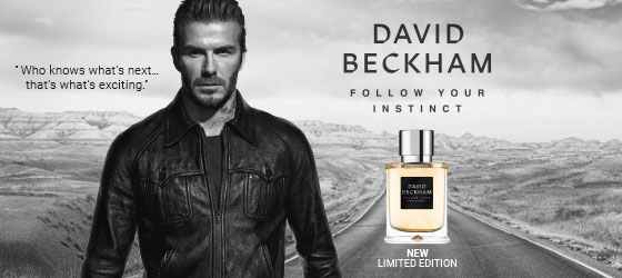 david beckham follow your instinct