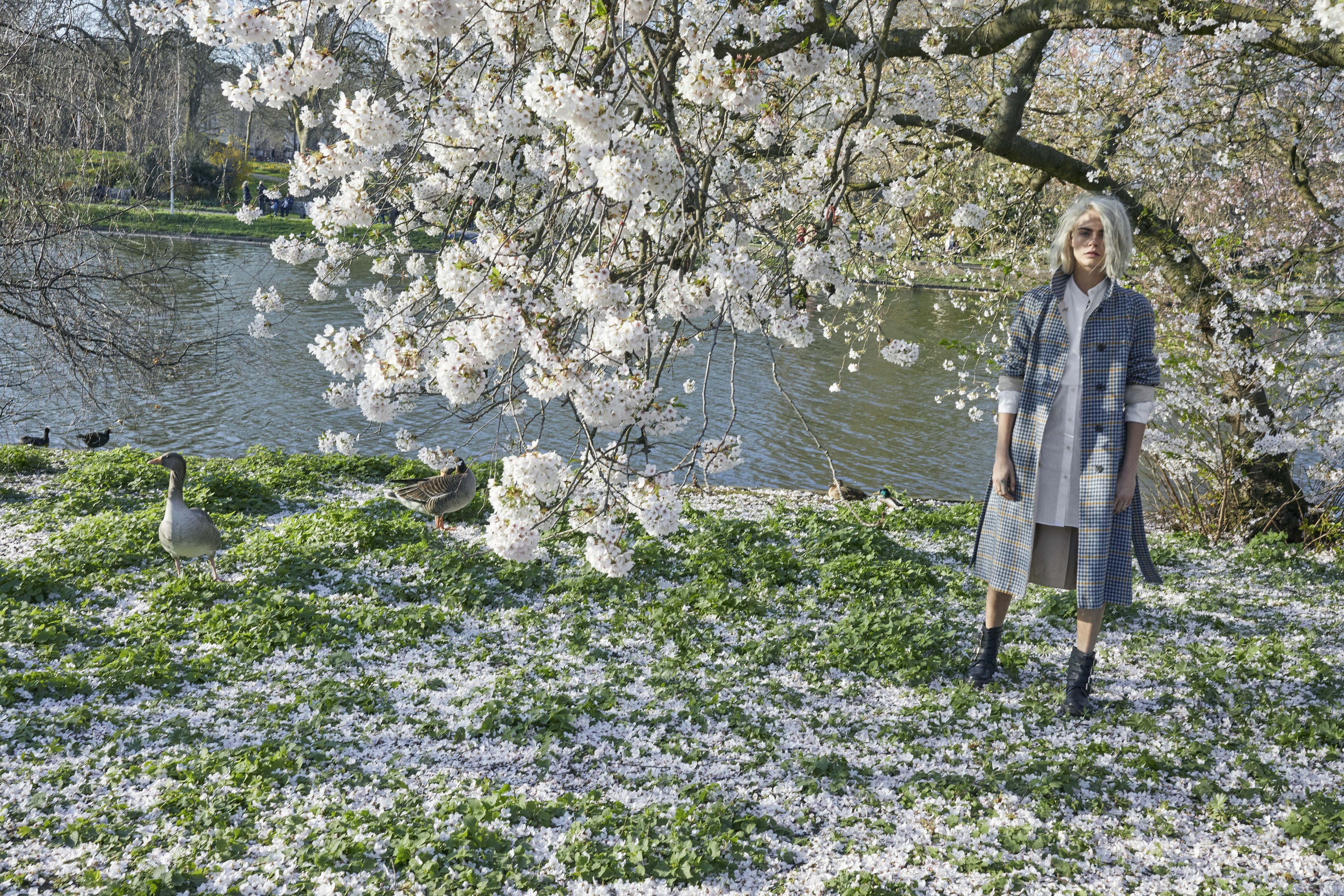 Burberry Her Blossom Cara