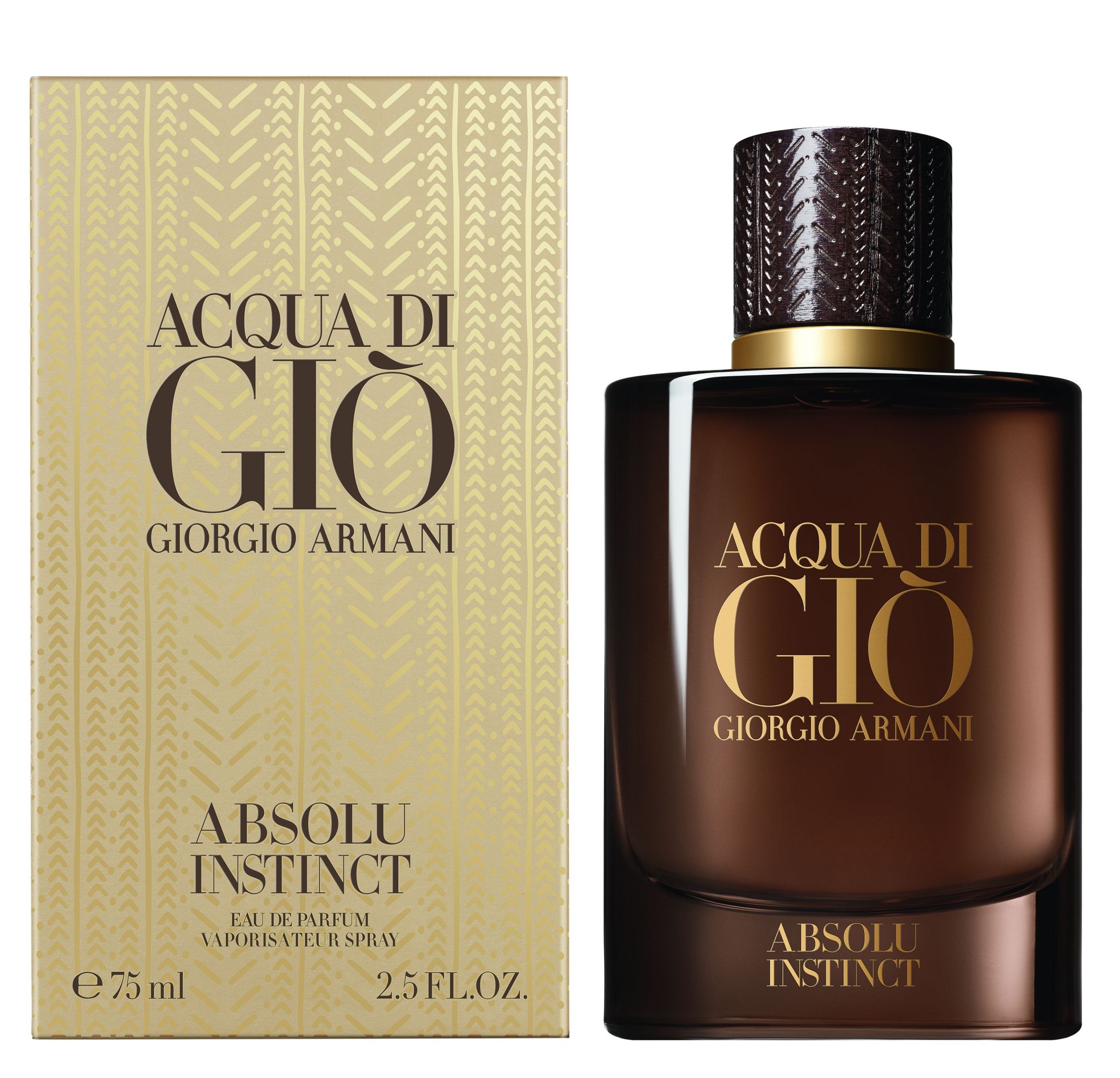 armani acqua di gio absolu
