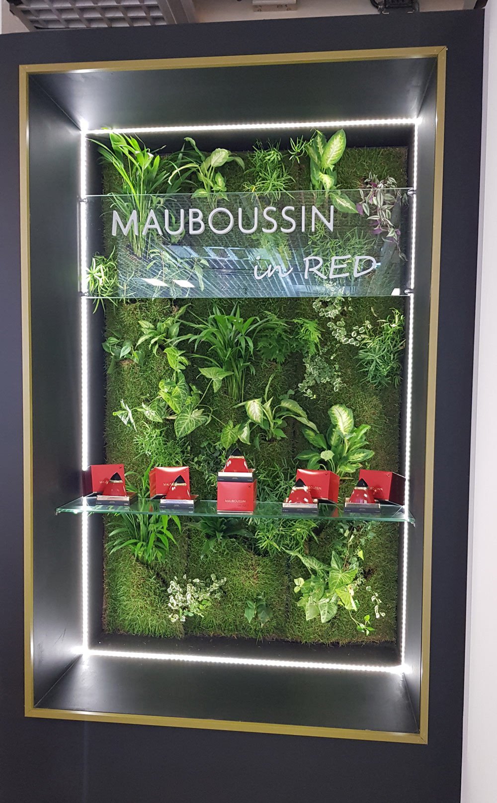 mauboussin in red tfwa 2019