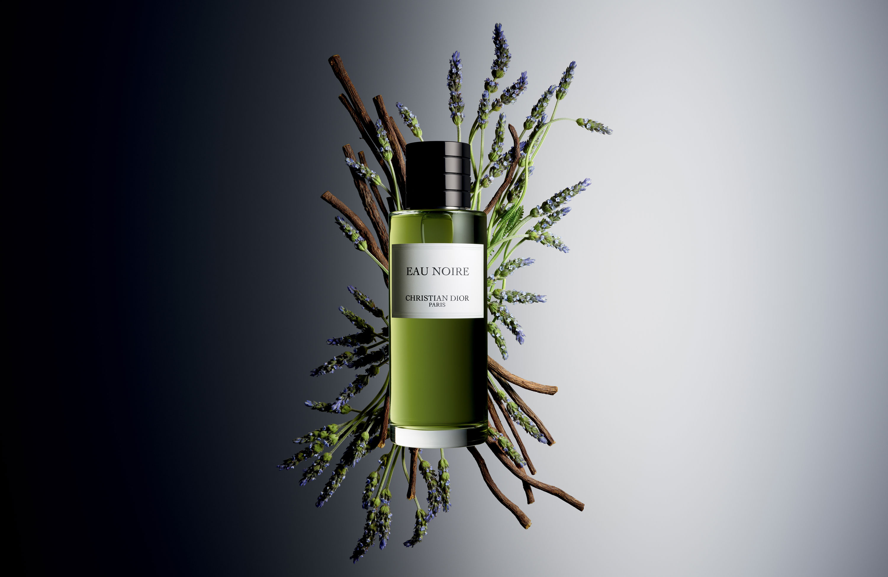 dior noir parfum
