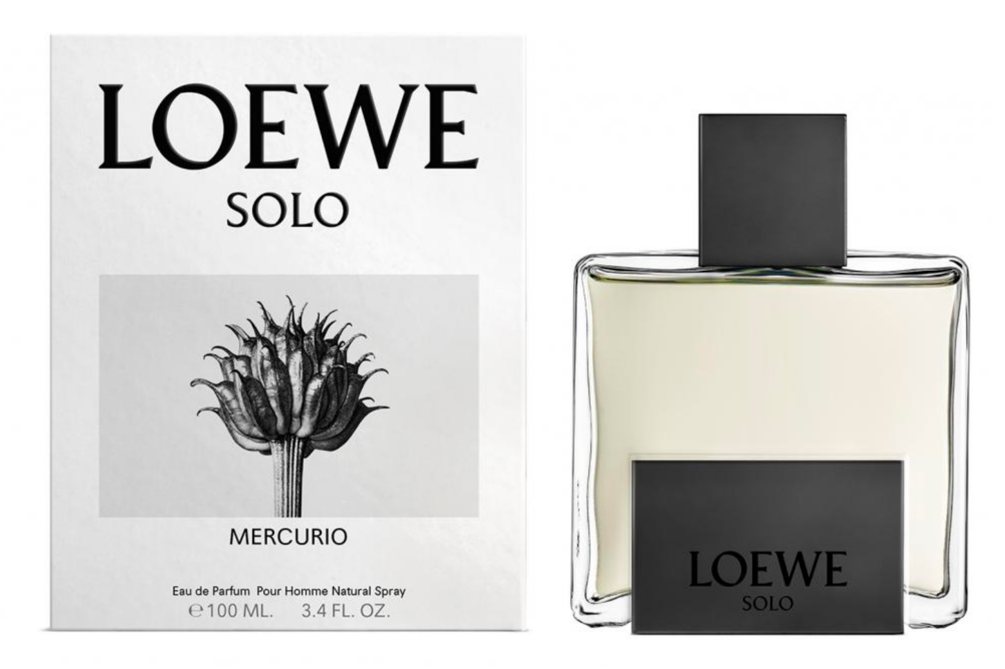 solo loewe fragrantica