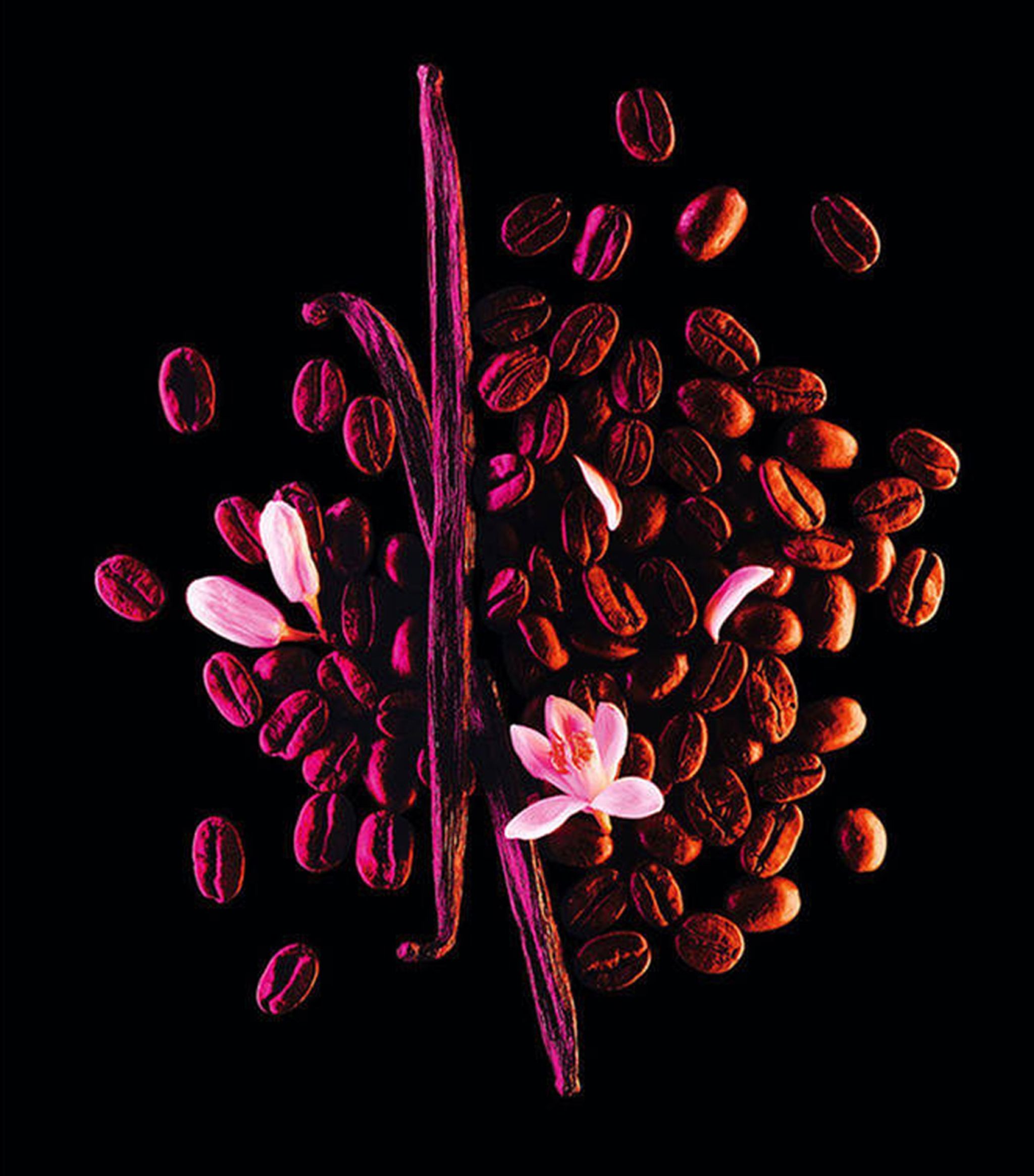 BLACK OPIUM NOTES