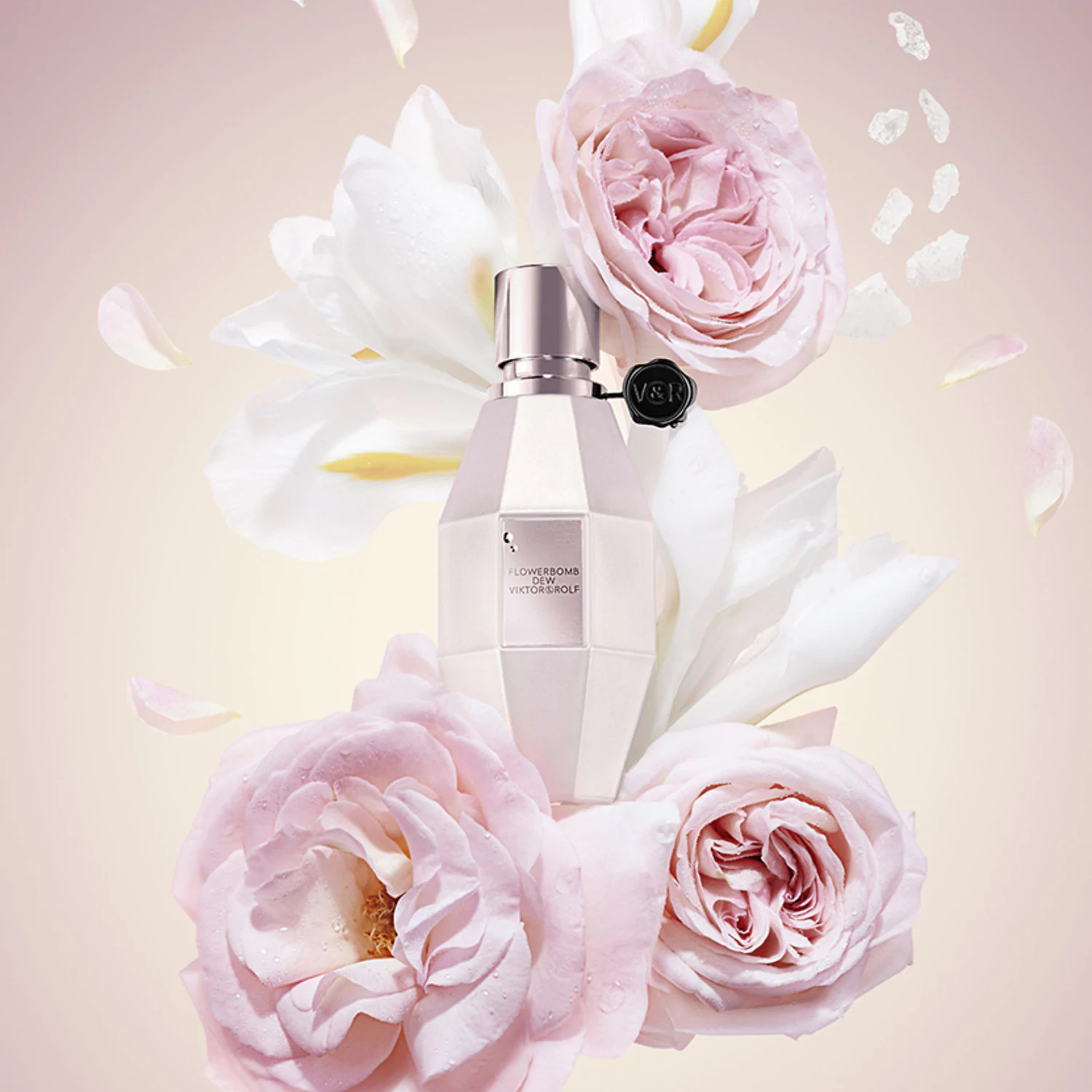 Flowerbomb Dew Pudrige Wolken Reviews