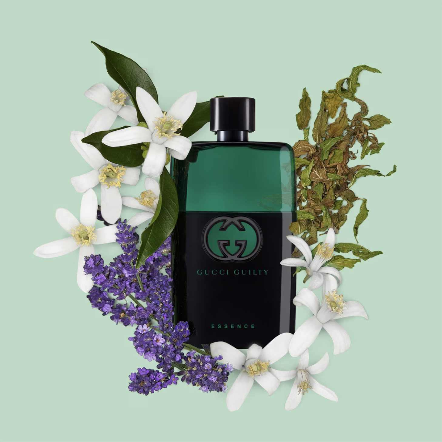 Gucci Guilty Essence Pour Homme ~ Nuevas Fragancias